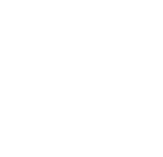 atom icon