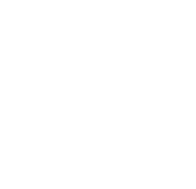 plant icon